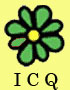 icq.jpg